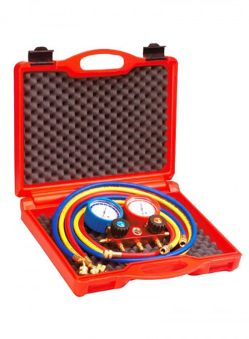 Manifold Gauge Multicolour