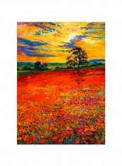 Vintage Abstract Oil Art Canvas Painting Red 50x60centimeter