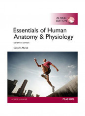 ‎Essentials Of Human Anatomy & Physiology‎ Paperback English by Elaine Marieb - 2014