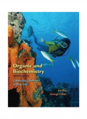 Organic And Biochemistry: Connecting Chemistry To Your Life Paperback English by Ira Blei