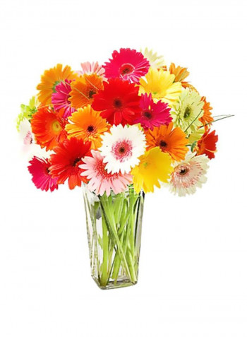30-Piece Harvest Time Gerbera Flower Bouquet Red/Yellow/Pink