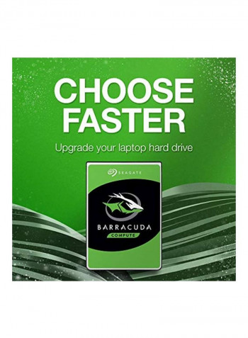 BarraCuda SATA Hard Drive 2TB Silver