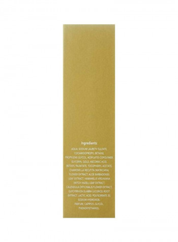 24K Vitamin C Facial Cleanser 80ml