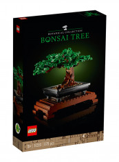 Bonsai Tree