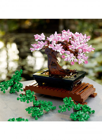 Bonsai Tree