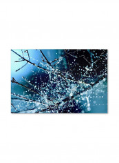 Blue Rhapsody Artwork Canvas Wall Art Multicolour 16 x 24inch