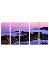 5-Piece Framed Canvas Wall Art Painting Multicolour 63x32inch