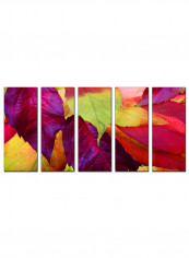 5-Piece Framed Canvas Wall Art Painting Multicolour 63x32inch