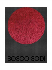 Bosco Sodi Hardcover الإنجليزية by Dakin Hart تقييمات Bosco Sodi Hardcover الإنجليزية by Dakin Hart