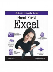 Head First Excel: A Brain-Friendly Guide Paperback