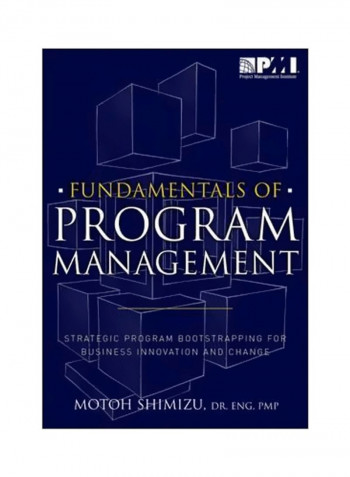 Fundamentals Of Program Management: Strategic Program Bootstrapping For Business Innovation And Change Paperback