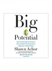 Big Potential Audio Book