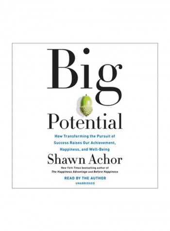 Big Potential Audio Book