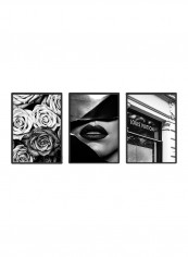 Set Of 3 Louis Vuitton Fashion Posters With Frame Black/White 50x40centimeter