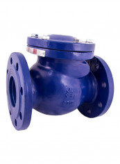 Classic Di-Swing Check Valve Blue/Silver 1.5inch