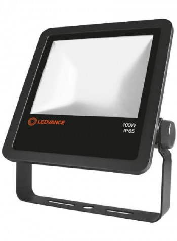 LED Pro Flood Light 100W Black/White