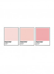 3-Piece Pantone Blush Colour Poster Pink/White 50x40centimeter