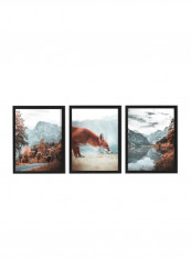 3-Piece Fox Autumn Forest Poster Set with Frame Multicolour 50x40cm