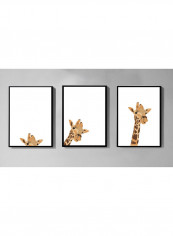 3-Piece Themed Giraffe Poster With Frame Multicolour