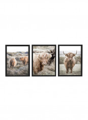 3-Piece Highland Cows Farm Poster with Frame Multicolour 50x40cm
