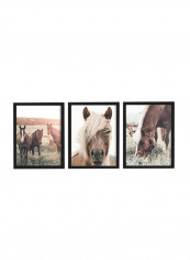3-Piece Horse Farm Poster with Frame Multicolour 50x40cm