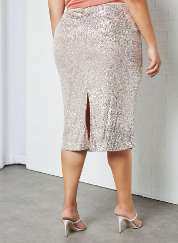 Plus Size Embellished Skirt Silver