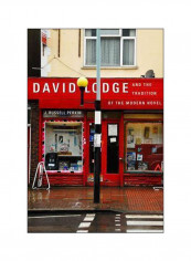 David Lodge And The Tradition Of The Modern Novel Paperback