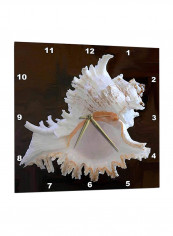 Sea Shell Printed Wall Clock Brown/White 15 x 15inch