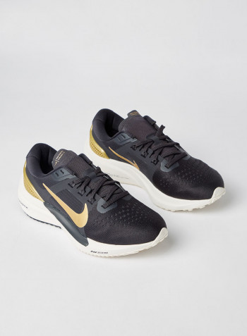 Air Zoom Vomero 15 Running Shoes Oil Grey/Mtlc Gold-Ivory-Platinum Tint