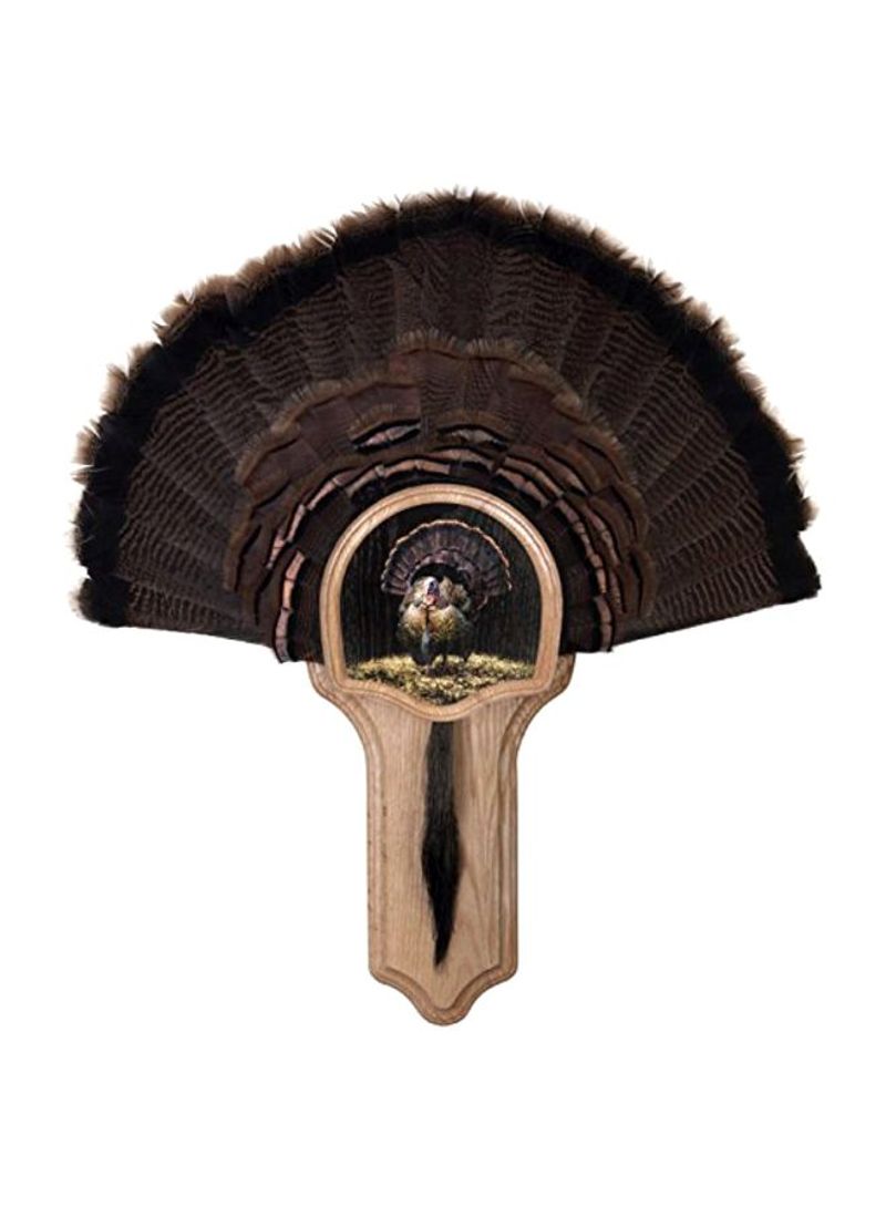 Deluxe Turkey Mounting And Display Kit Brown/Grey 19.5x9.75x2.63inch