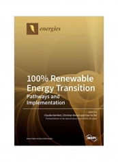 100% Renewable Energy Transition : Pathways And Implementation Paperback