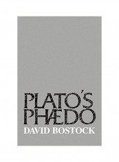 Plato's Phaedo Paperback
