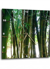 Bamboo Up Close Wall Clock Multicolour 15 X 15inch