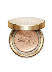 Perfecting Cushion Foundation No. 21 Natural Pink