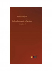 Ireland under the Tudors Volume 2 Hardcover English by Richard Bagwell - 2020