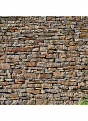 Milano American Stone  Wallpaper Dark Brown/Khaki 400x280centimeter