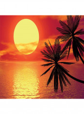 Milano Romantic Sunset Wallpaper Red/Yellow/Black 400x280centimeter