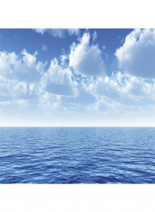 Milano Silent-Ocean Wallpaper White/Blue 400x280centimeter