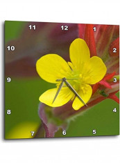 Jaynes Gallery Wall Clock Multicolour 15x15inch