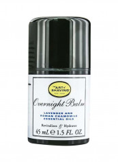 Lavender And Roman Chamomile Essential Oils Overnight Balm 45ml reviews Lavender And Roman Chamomile Essential Oils Overnight Balm 45ml