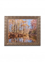 Beaver Creek 7 Wall Art Multicolour 11 x 14inch