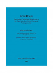 Great Briggs Paperback