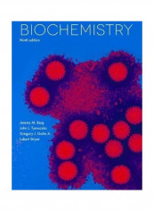 Biochemistry Hardcover English by Jeremy M. Berg