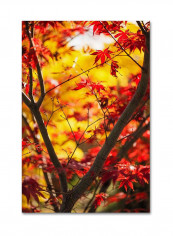 Morning Jive Canvas Wall Art Multicolour 16 x 24inch