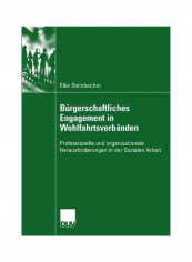 Burgerschaftliches Engagement In Wohlfahrtsverbanden Paperback