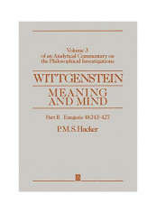 Wittgenstein: Meaning and Mind, Volume 3 of an Analytical Commentary on the Philosophical Investigations, Part II: Exegesis 243-247 Paperback