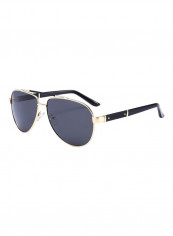 Men's Aviator Sunglasses
