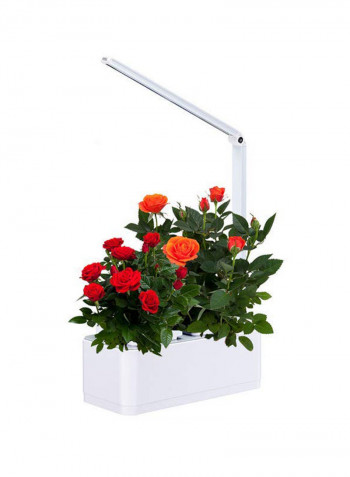 Indoor Garden Set With LED Grow Light White