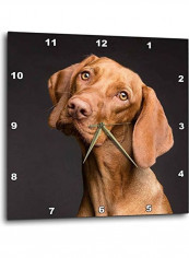 Dog Wall Clock Multicolour 13x13inch