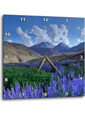 Wall Clock Multicolour 13x13inch
